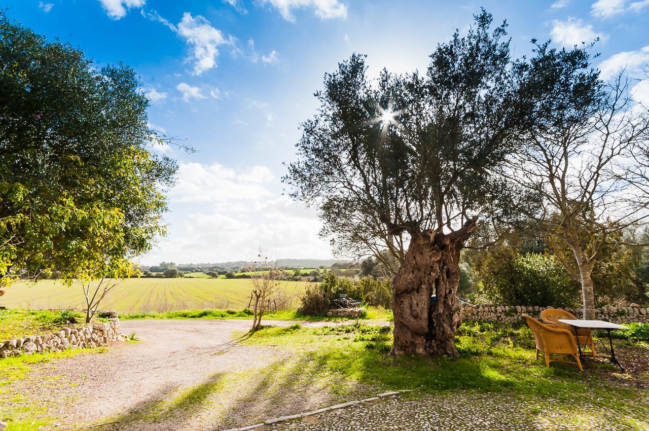 Villa Sa Casa Rotja à Sineu  Extérieur photo